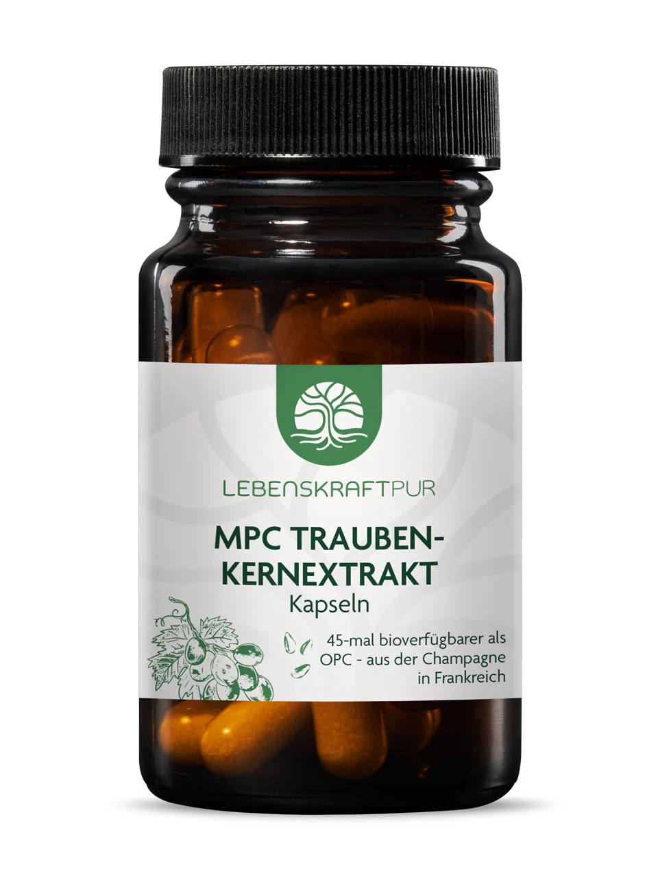 Vorschaubild 1